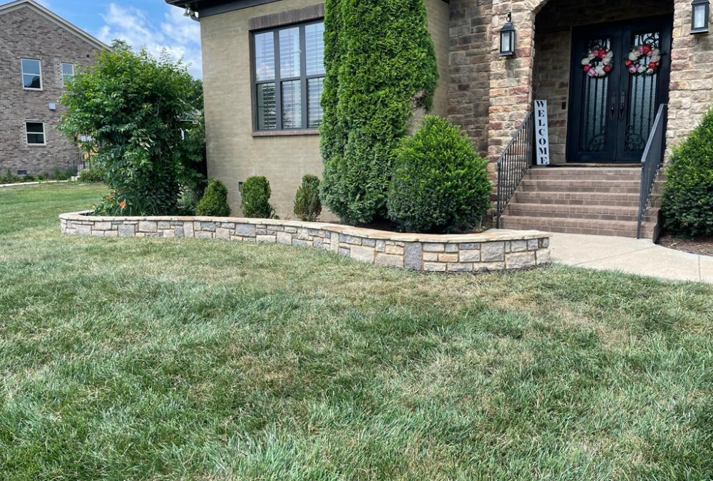 Is Tree Trimming Your First Defense from Property Damage?