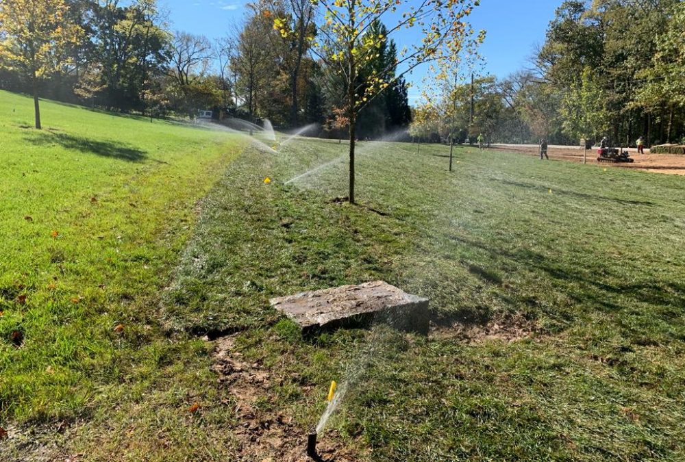 Tired of Weekend Yard Work? Let Maintenance Services Take Over