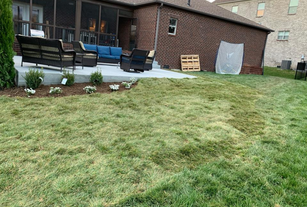 Yard Maintenance Services Designed for Modern Homeowners